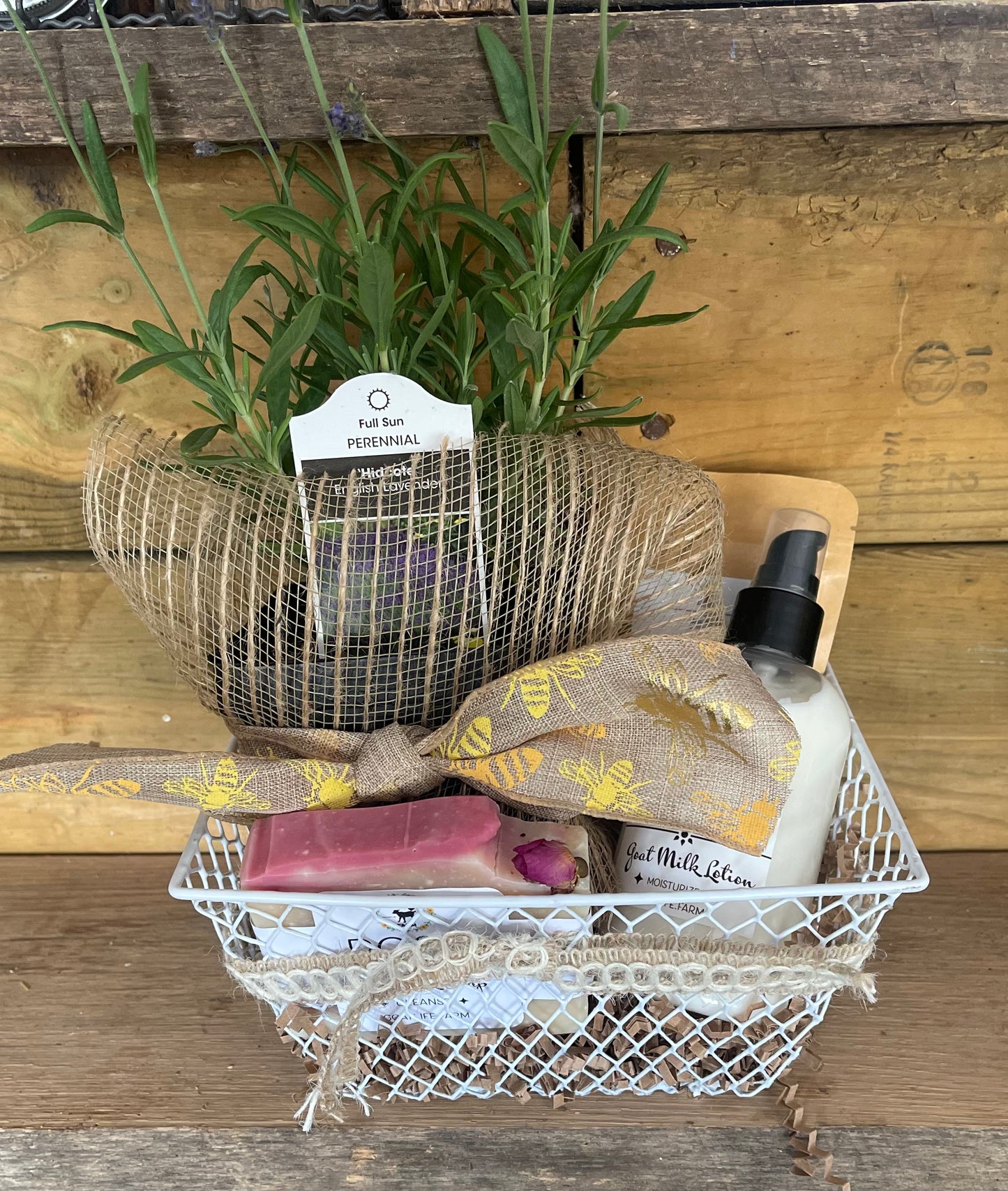 Lavender lovely