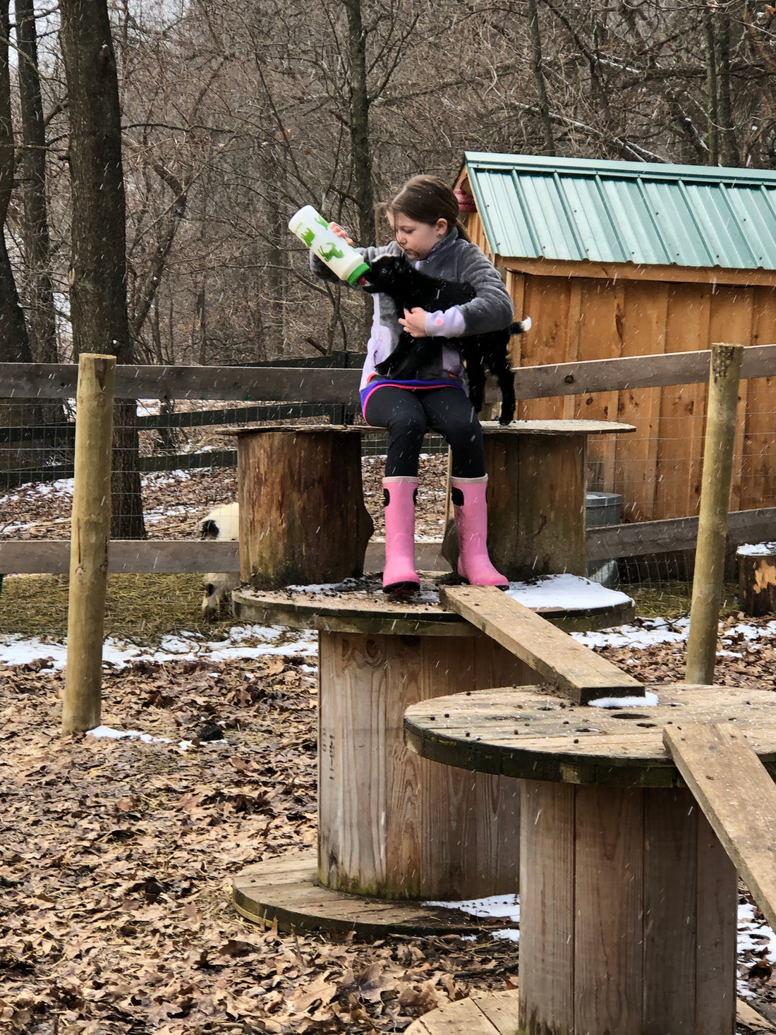 Springtime on the Farm