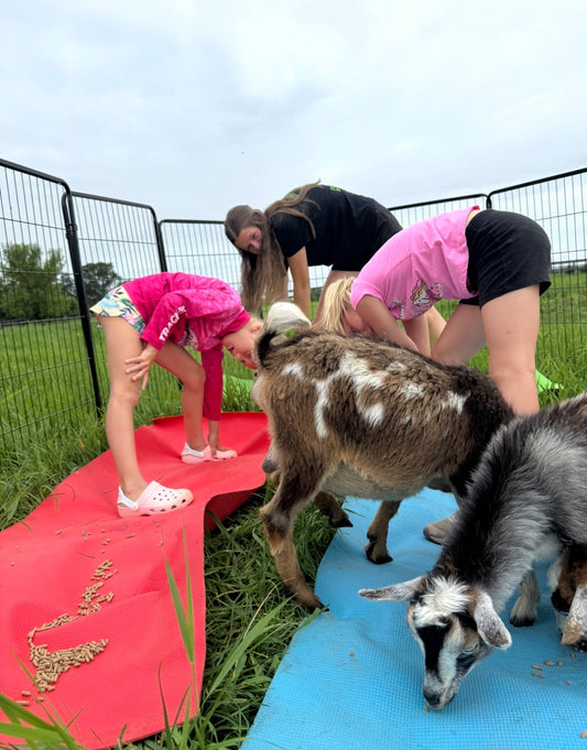 Week junior farming training  workshop