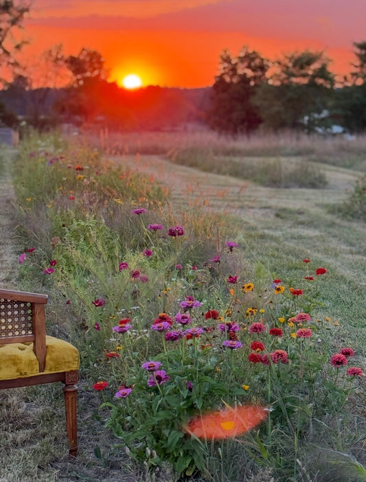 Farm to table Pizza Night in the Garden