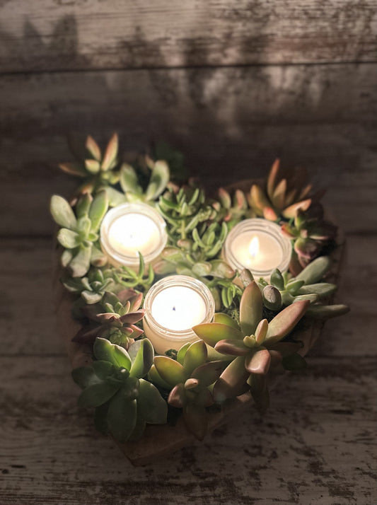 Heart Succulent centerpiece